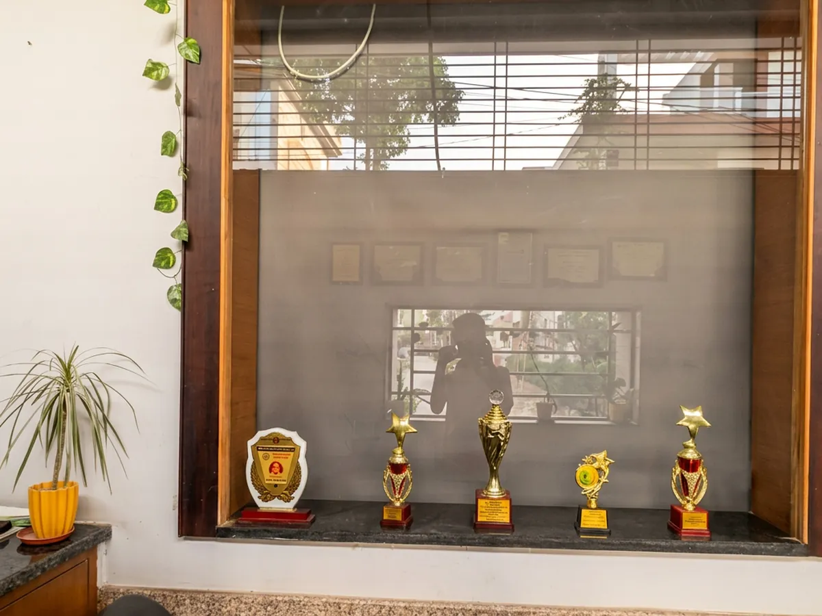 Display window at the clinic reception with awards, trophies and a potted plant